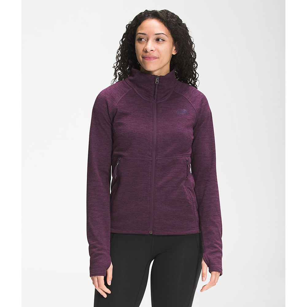 The North Face Fleece Jacket Womens Australia - The North Face Canyonlands Full Zip Burgundy / Black